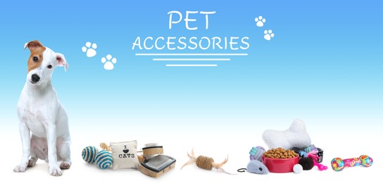 Advertising banner design for pet shop. Cute dog and different accessories on color background