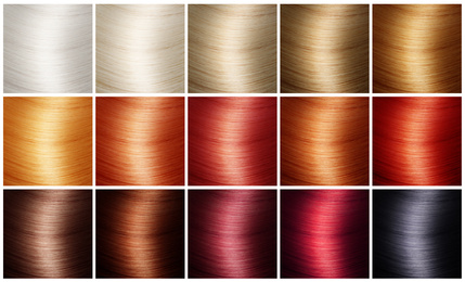 Image of Collage with color hair samples on white background