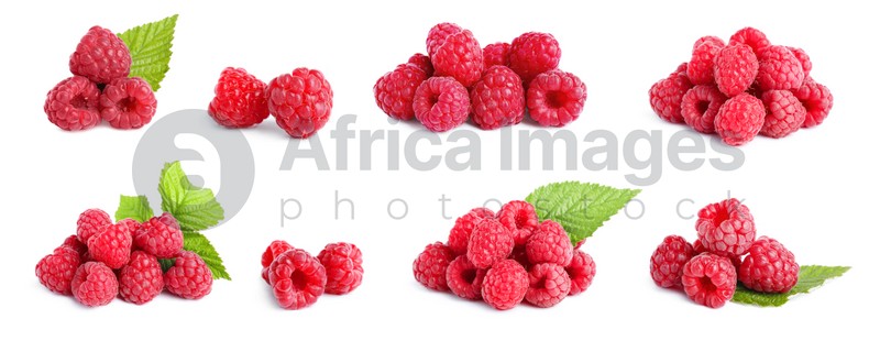 Set with delicious ripe raspberries on white background. Banner design