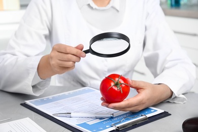 Scientist with magnifying glass exploring tomato at table in laboratory, closeup. Poison detection