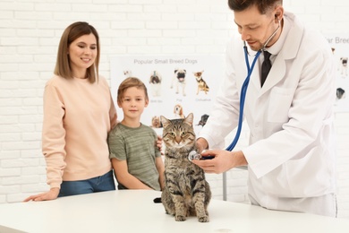 Mother and son with their pet visiting veterinarian in clinic. Doc examining cat