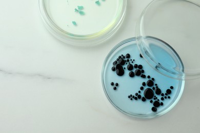 Photo of Petri dishes with cultures on white marble table, flat lay. Space for text