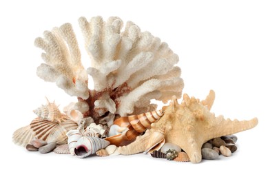 Beautiful exotic sea coral, shells and starfish on white background