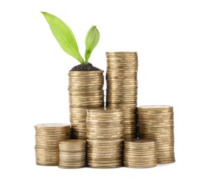 Photo of Stacks of coins and green plant on white background. Prosperous business