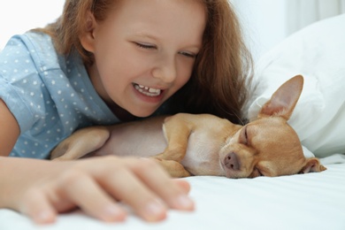 Photo of Little girl with her Chihuahua dog in bed. Childhood pet