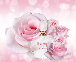 Bottle of luxury perfume and beautiful roses on pink background