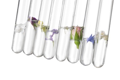 Test tubes with different flowers on white background. Essential oil extraction