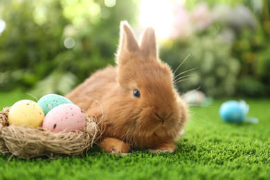 Adorable fluffy bunny and decorative nest with Easter eggs on green grass, closeup