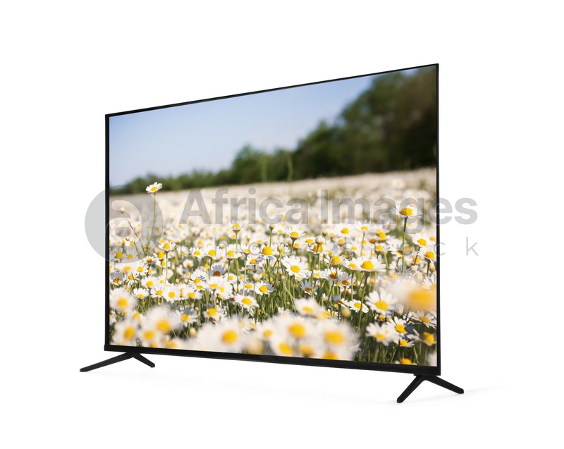 Image of Modern wide screen TV monitor showing beautiful chamomile flowers in field isolated on white