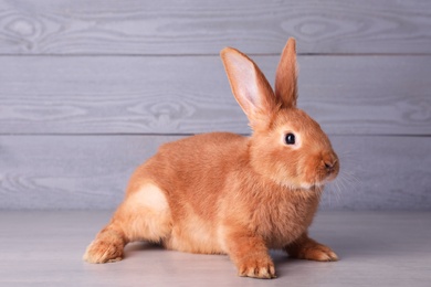 Cute bunny on grey table against wooden background. Easter symbol