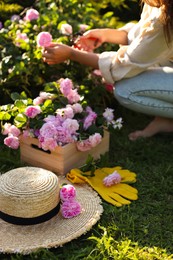 Photo of Straw hat, gloves, beautiful tea roses and blurred view of woman working in garden on background