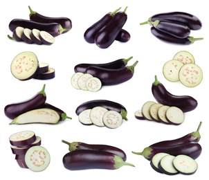 Image of Set of cut and whole fresh eggplants on white background