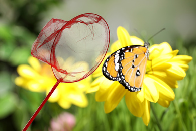 Image of Bright net and beautiful painted lady butterfly in flower garden