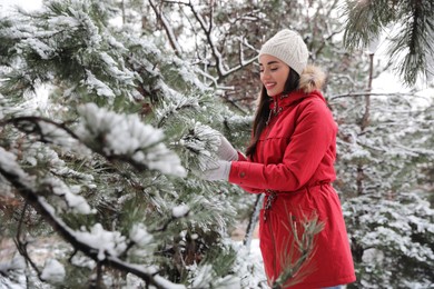 Happy young woman near tree in forest on winter day