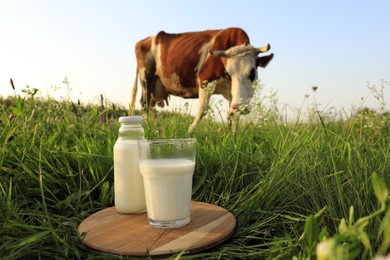 Photo of Glass and bottle of milk on wooden board with cow grazing in meadow