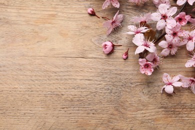 Beautiful spring tree blossoms on wooden table, flat lay. Space for text