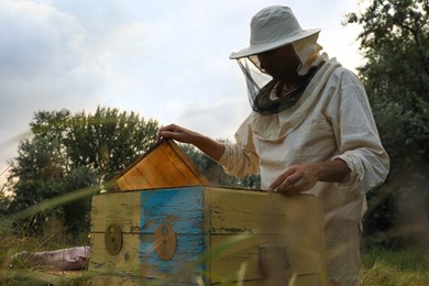Beekeeper in uniform taking honey frame from hive at apiary