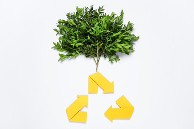 Recycling symbol and branch of green plant on white background, flat lay