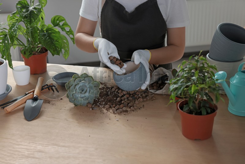 Woman filling flowerpot with drainage at table indoors, closeup. Transplanting houseplant