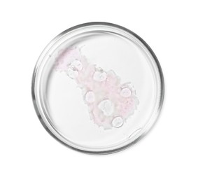Petri dish with liquid on white background, top view