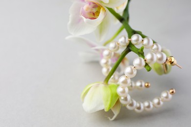 Photo of Elegant pearl earrings and orchid flowers on white background, closeup. Space for text