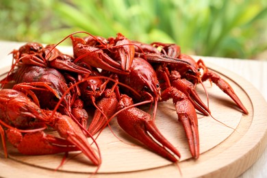 Photo of Delicious red boiled crayfish on wooden board, closeup