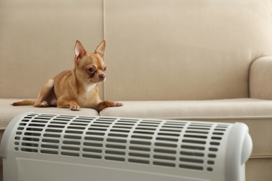 Chihuahua dog lying on sofa near electric heater indoors
