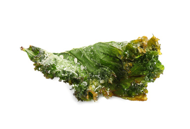 Tasty baked kale chip isolated on white