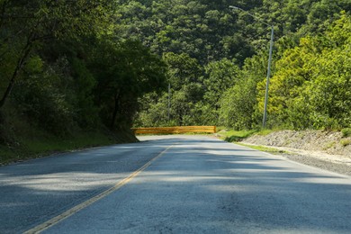 Asphalt road near plants and trees on sunny day