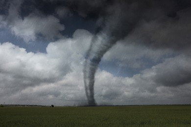 Dangerous whirlwind at agricultural field. Weather phenomenon