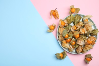 Ripe physalis fruits with dry husk on color background, flat lay. Space for text