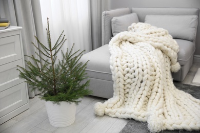 Stylish living room interior with little fir tree and knitted blanket