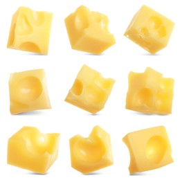 Pieces of delicious cheese on white background, collage
