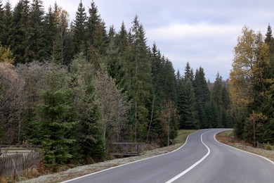 Beautiful view of asphalt highway going through coniferous forest. Autumn season