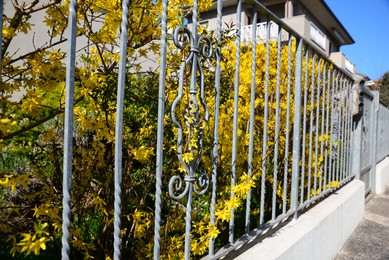 Photo of Metal fence and beautiful bushes with colorful leaves outdoors on sunny day
