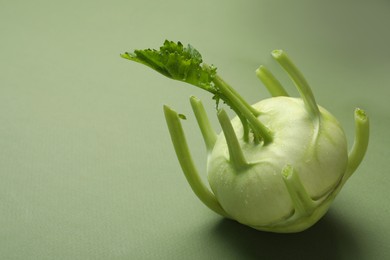 Whole ripe kohlrabi plant on green background. Space for text