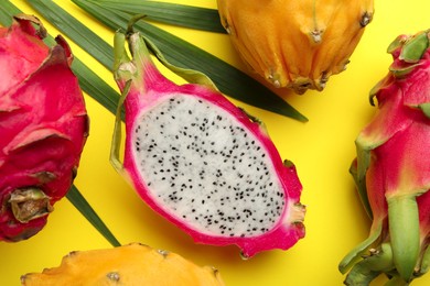 Different pitahaya fruits with palm leaf on yellow background, flat lay