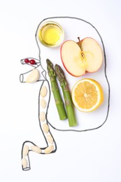 Flat lay composition with kidney drawing and different products on white background