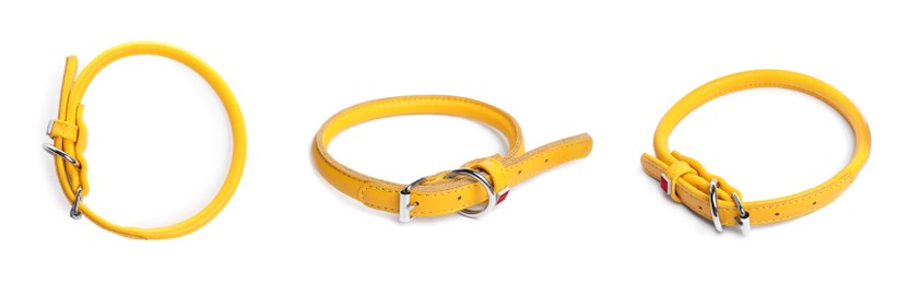Set with yellow leather dog collars on white background. Banner design
