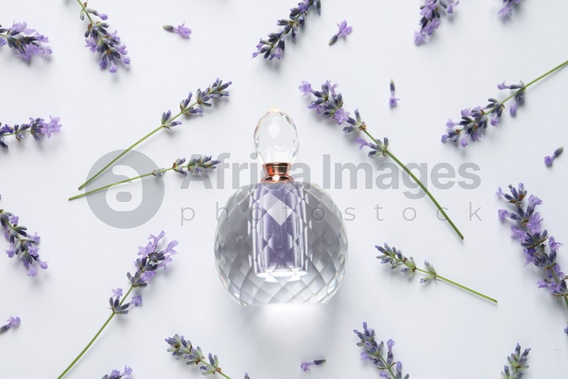 Photo of Bottle of natural perfume and lavender flowers on white background, top view. Cosmetic product