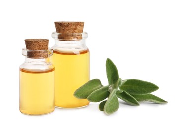 Bottles of essential sage oil and twig on white background.