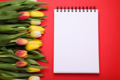 Photo of Beautiful tulips and blank notebook on red background, flat lay