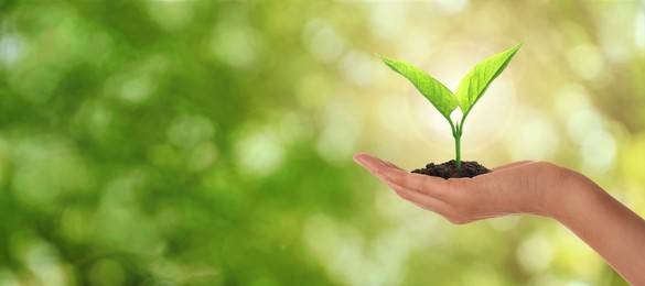 Closeup view of woman holding small plant in soil on blurred background, banner design with space for text. Ecology protection