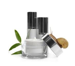 Photo of Snail, cosmetic products and green leaves isolated in white