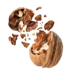 Broken walnut and pieces of shell flying on white background