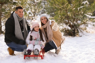 Happy family with sledge outdoors on winter day. Christmas vacation