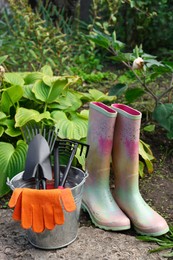 Metal bucket with gloves, gardening tools and rubber boots near plants outdoors