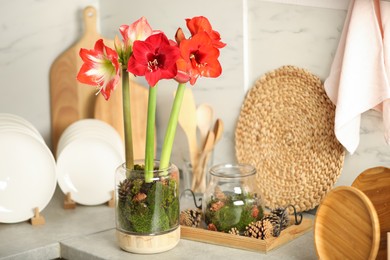Photo of Beautiful red amaryllis flowers and tableware on counter indoors