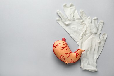 Anatomical model of stomach and rubber gloves on grey background, flat lay with space for text. Gastroenterology