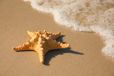 Beautiful sea star on sandy beach, space for text